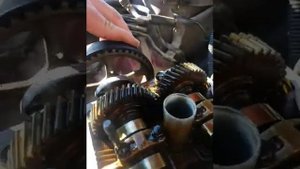 Карина е метка грм  1.6