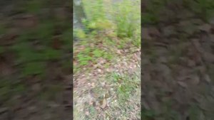 документальное видео, белое озеро,Москва косино