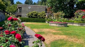 【Vancouver -Rose Garden UBC-2-】🇨🇦 1 Minute