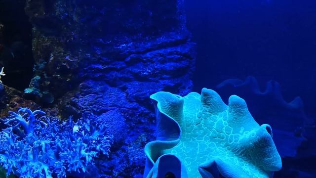 Путешествие в Екатеринбург и Верхнюю Пышму Март 2023г. смотреть онлайн