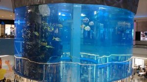Гигантский Аквариум. ТЦ Океания. Москва. 10.06.2017