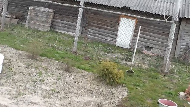 В ТРАКТОРЕ Т-16 СПУСТИЛО КОЛЕСО, БОРТИРУЕМ. ДЕРЕВЕНСКИЙ ШИНОМОНТАЖ.