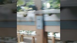 Клубника круглый год в зимней теплице.