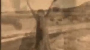 Bells for Her- Tori Amos