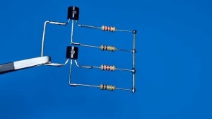 Protect Your Home: How to Easily Make an Ultrasonic Pest Repeller