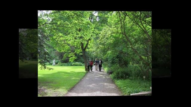 Город у Чудского озера - Ряпина смотреть онлайн