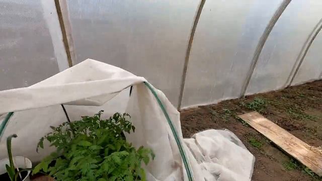 Жизнь в доме . Открываем сезон по огороду 2023 мою теплицу КЁРХЕР в помощь.