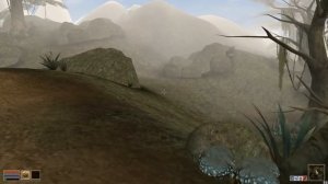 The Elder Scrolls III Morrowind как спасти Тариэля