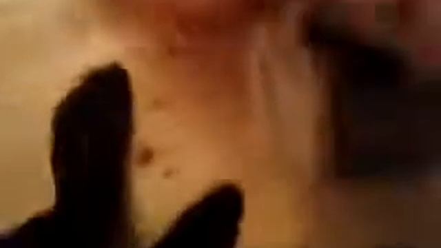 Урок 1: как правильно укоротить уголок у доски. смотреть онлайн