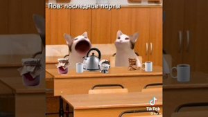последние парты?
