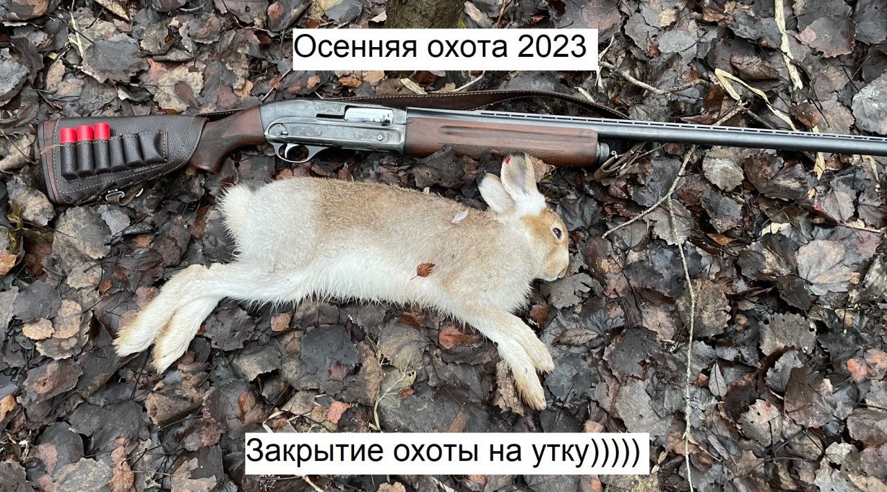 Закрытие осеннего сезона на утку 2023 смотреть онлайн