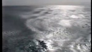 1995 год плавбаза Всеволод Сибирцев