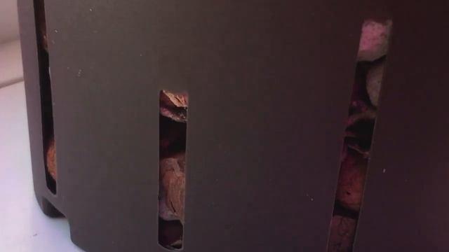 Orchids/Орхдеи: Cymbidella pardalina, lycaste, phal. schilleriana x phal. gigantea etc смотреть онлайн