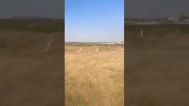 Сибирская язва!!! Георгиевский ГГО, Незлобная. Георгиевск смотреть онлайн