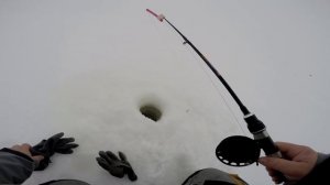 Зимняя рыбалка на Волге. Ловля судака и берша  на тюльку в  Камском устье.