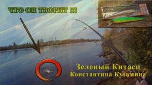 Зеленый Китаец от Константина Кузьмина. Твичинг щуки на канале.