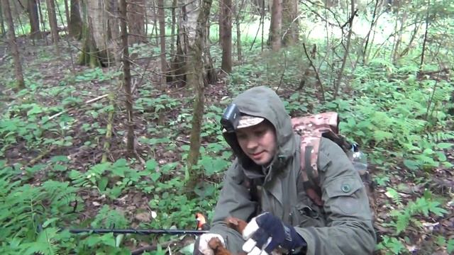 Находка на удачу! Поиск с металлоискателем Quest X5 и Minelab Equinox 600