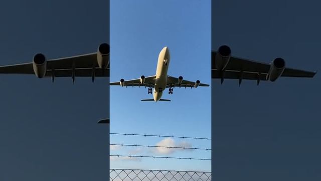 ZRH Planespotting - Swiss A340 Landing at ZRH Zurich Airport