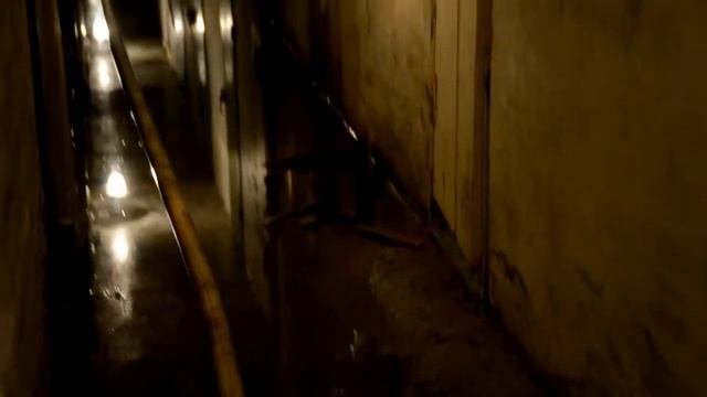 Затопило погреба в Бердске смотреть онлайн