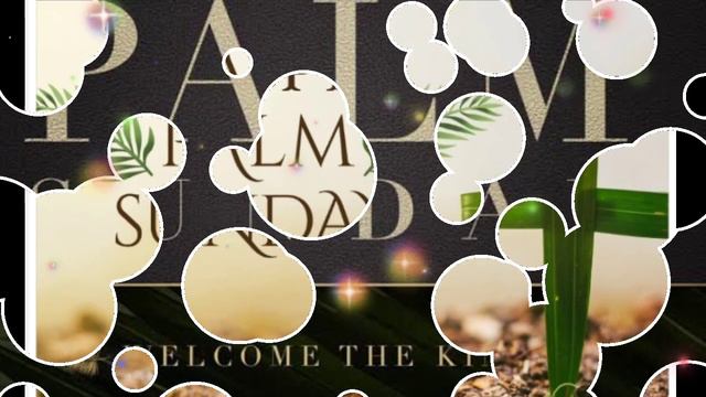 palm Sunday//new soura. status video//ago Kany asiona ra // смотреть онлайн