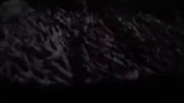 Естественный Отбор смотреть онлайн