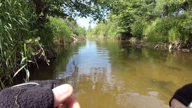 вода, песок и форель смотреть онлайн