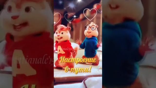Веселый ролик)))