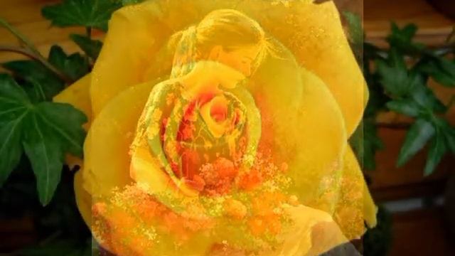 Романс о Розе смотреть онлайн