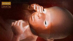 27 неделя беременности. Развитие плода. УЗИ 3D и 4D. Что чувствует беременная Как выглядит ребенок
