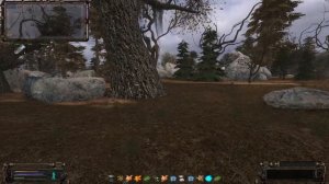 S.T.A.L.K.E.R. Объединенный Пак 2.2 Прохождение №36: Невидимки.  Лесничий. Потерявшийся