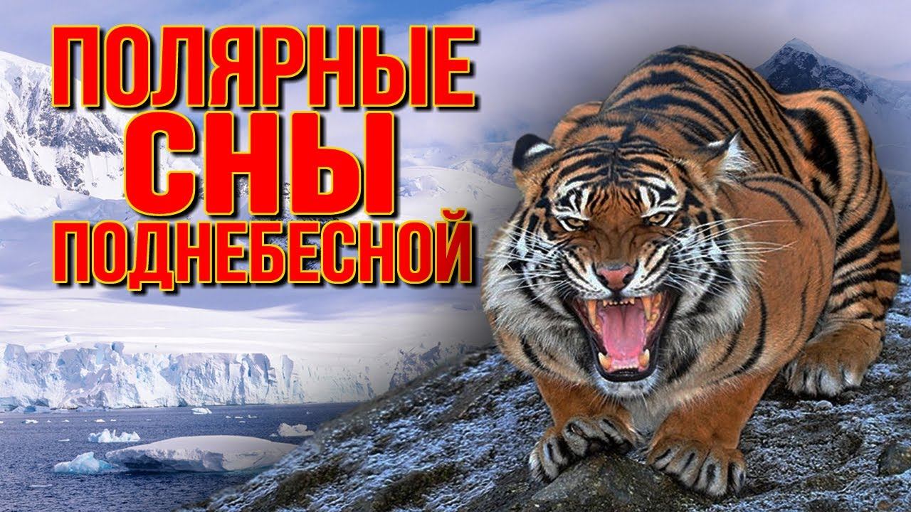 Зачем китайцам Севморпуть? Константин Сивков