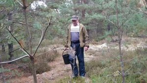 Грибы в Беларуси. Грибы 2022. Сбор грибов. Октябрь