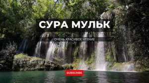 ? СУРА МУЛЬК. ЖИВОЙ ГОЛОС.КРАСИВОЕ ЧТЕНИЕ КОРАНА. #quran #suramulk #сурамульк