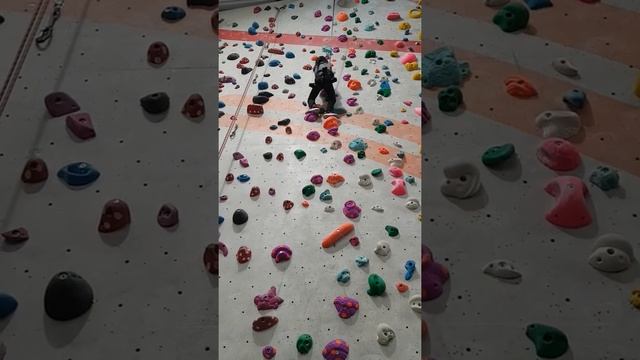 Wall climbing in Surbiton UK