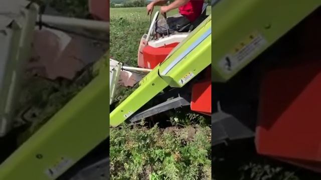 Комбайн для збору Моркви, Буряків і Часнику. смотреть онлайн