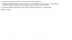 DevOps & SysAdmins: Tomcat 7 WebSocket (JSR356) Examples error: WebSocket connection closed