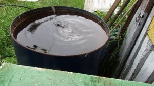 Подкисление голубики блюкроп с помощью уксуса