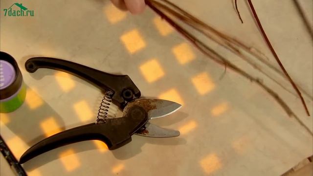 Ароматизатор для дома своими руками - 7 дач смотреть онлайн