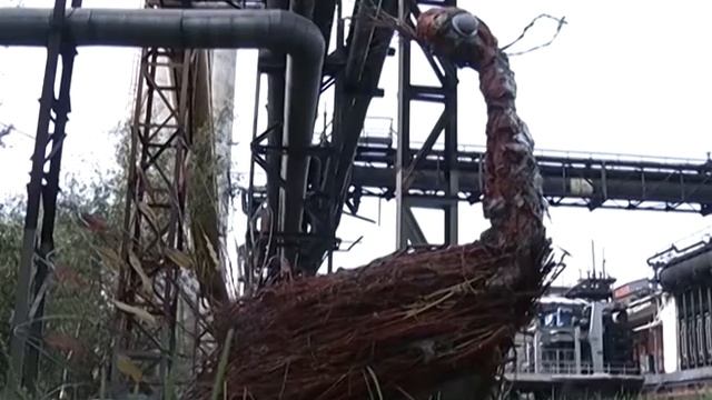 "Золотые руки" - скульптурные композиции мастера Сергея Пономаренко смотреть онлайн