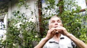 Свирель в Ре. Л.Бетховен. "И мой сурок со мною