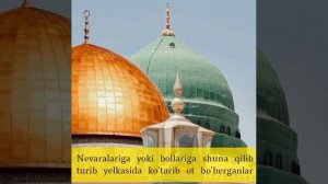 VID_20230508_183729_187.mp4