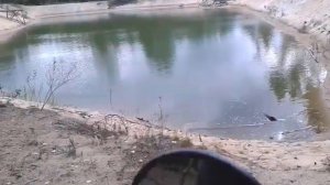 Поездка по лесу скутере Нексус Бустер 150 куб