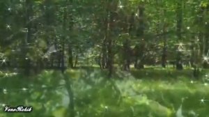 Яңа җыр! Вадим Захаров - Үткәннәргә тимәгез