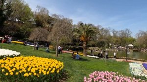 ISTANBUL 2022 Emirgan Park Tulip Festival  Walk Tour| 4K UHD