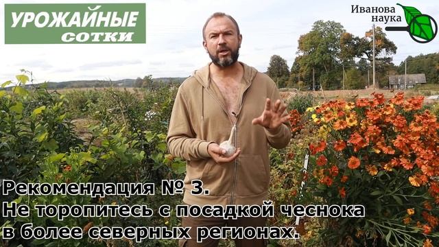 100 % УСПЕХА! ОПРЕДЕЛЯЮ СРОКИ ПОСАДКИ ЧЕСНОКА В ВАШЕМ РЕГИОНЕ! смотреть онлайн