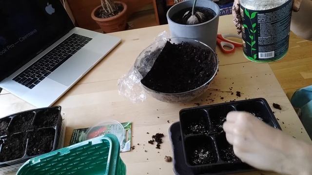 Тестируем "космическое" удобрение ZION экспериментальным методом смотреть онлайн