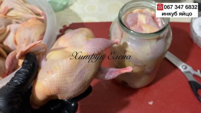 Техасский мясной перепел А+//Тушёнка из перепелов в духовке по домашнему
