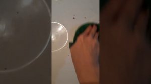 Диск Инволвер Green Fiber HOME S2, паста BioTrim Mystik , порошок BioTrim Mystik.