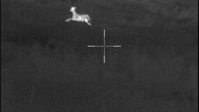 Pulsar Trail XQ50 смотреть онлайн