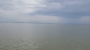 Можно ли купаться в краснодарском море? Проверил и рассказываю
